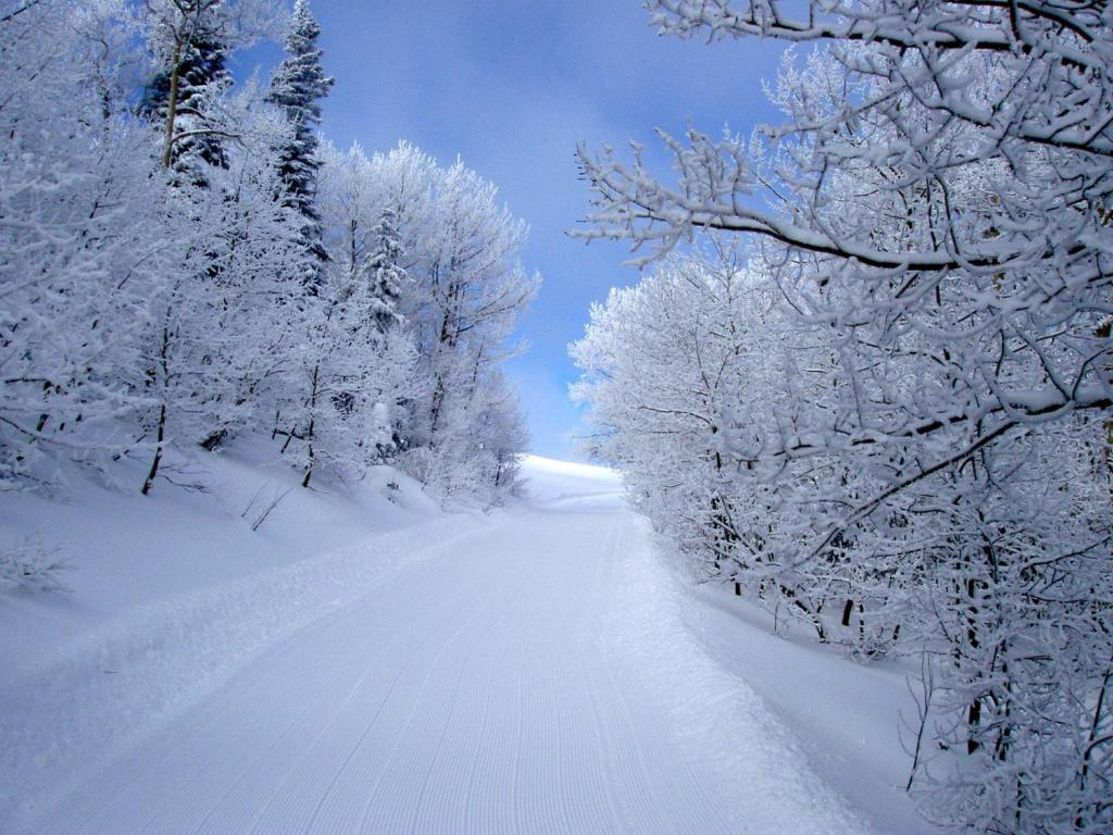 Daniels Summit Lodge Wallsburg 외부 사진